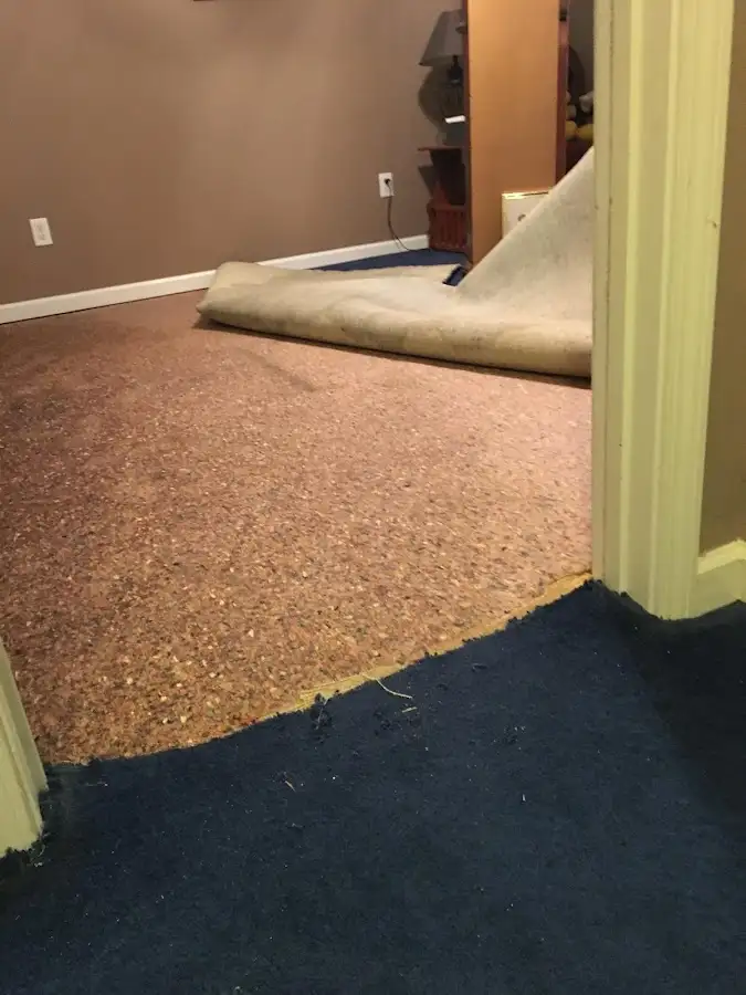 Carpet pad removal revealing water damage during Water Mitigation Services in Greenwood Village